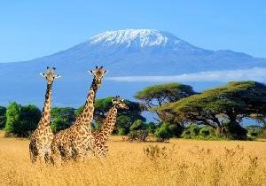 Mount-Kilimanjaro